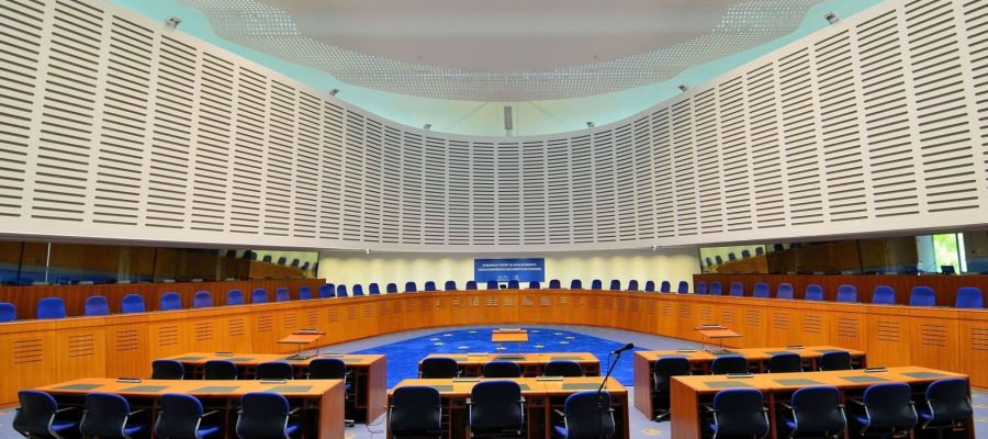 Marcelo Malheiros Cerqueira, Negacionismo e excepcionalismo simbólico em Estrasburgo (@Wikimedia Commons:Adrian Grycuk)