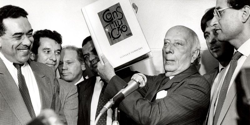 Vera Karam, Por que a constituição importa?