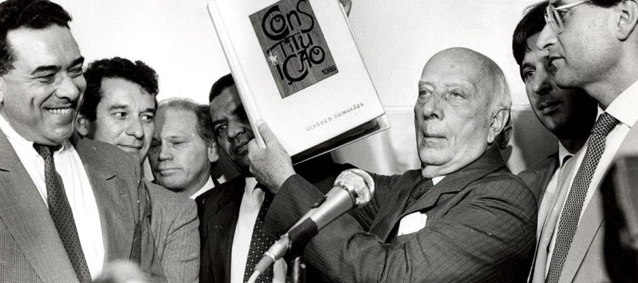 Vera Karam, Por que a constituição importa?